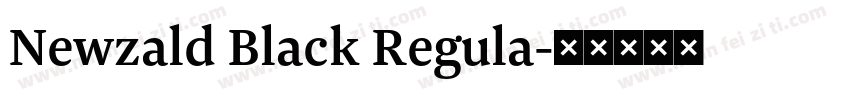 Newzald Black Regula字体转换